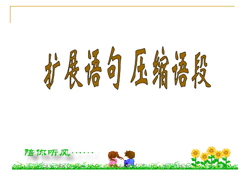 原创高考语文复习备考精品课件 扩展压缩扩展语句1公开课