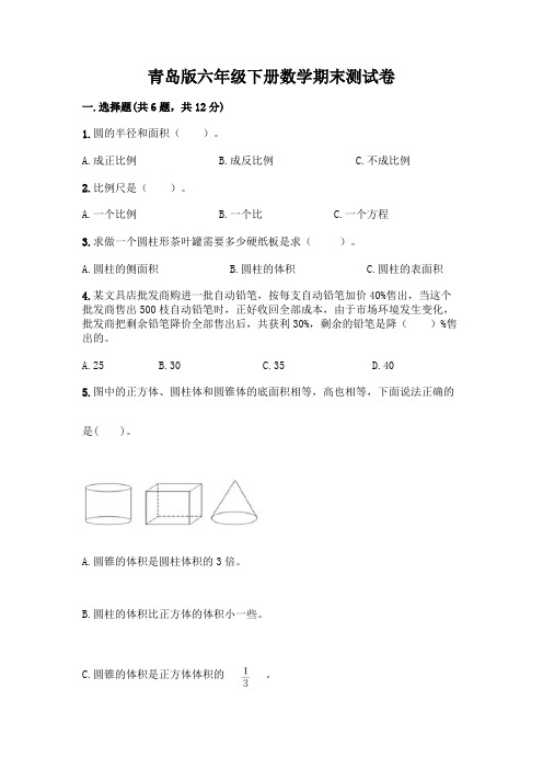 青岛版六年级下册数学期末测试卷及完整答案(历年真题)