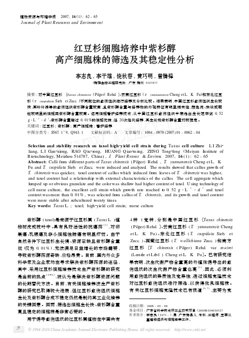 红豆杉细胞培养中紫杉醇高产细胞株的筛选及其稳定性分析_李志良