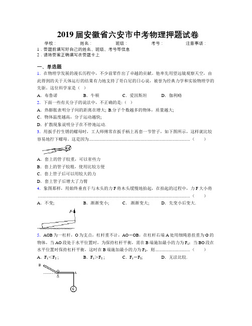 最新2019届安徽省六安市中考物理押题试卷及解析