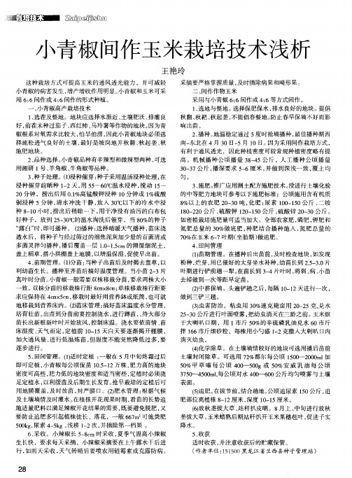 小青椒间作玉米栽培技术浅析