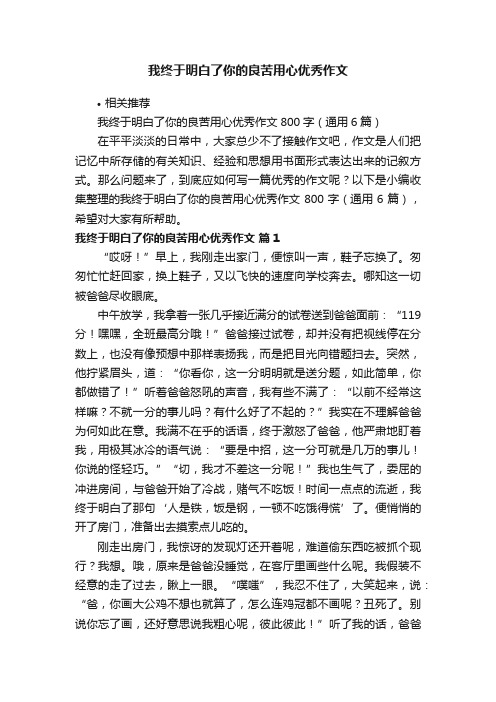 我终于明白了你的良苦用心优秀作文