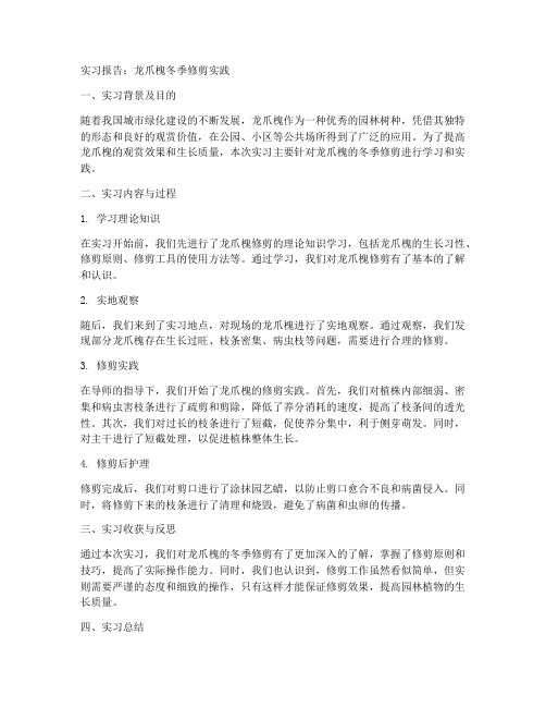 龙爪槐的冬季修剪实习报告