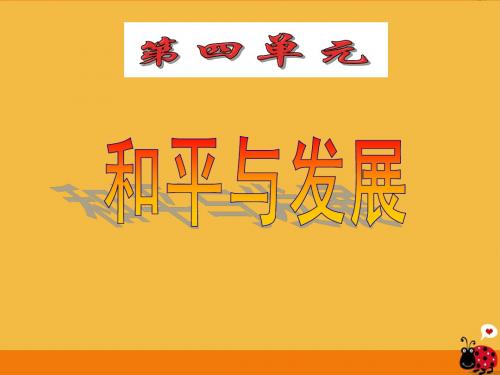 第17课《干戈不息》精品课件 北师大版