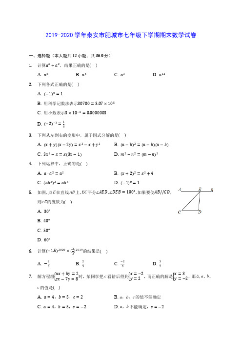 2019-2020学年泰安市肥城市七年级下学期期末数学试卷