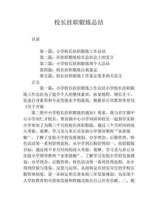校长挂职锻炼总结