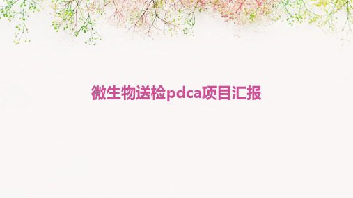 微生物送检PDCA项目汇报PPT