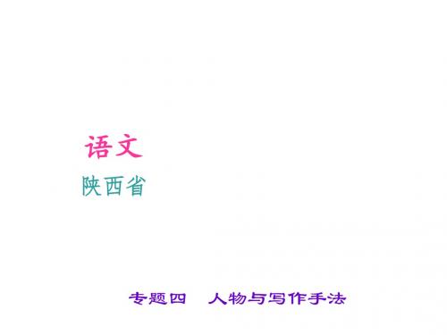 中考语文(陕西省)习题课件：第3部分  现代文阅读第2讲专题四 人物与写作手法