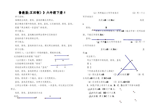 鲁教版(五四制)》六年级下册线段、射线、直线学案