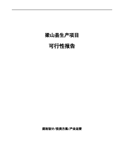 梁山县可行性报告编写参考