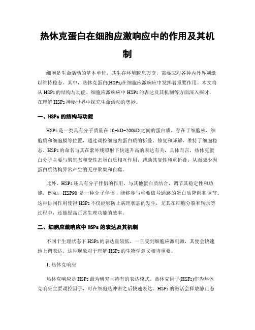 热休克蛋白在细胞应激响应中的作用及其机制