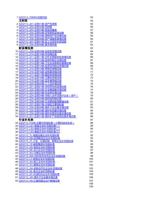 2013年度财务决算全部表格(231张)