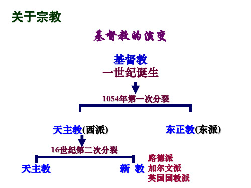 第13课 挑战教皇的权威