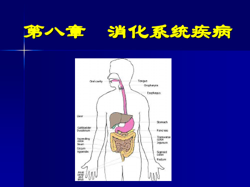 病理学 第八章 消化系统疾病(上) PPT精品课件