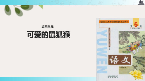 2021北京版小学语文三年级上册《可爱的鼠狐猴》.pptx教学课件