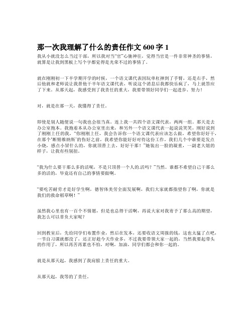 那一次我理解了什么的责任作文600字