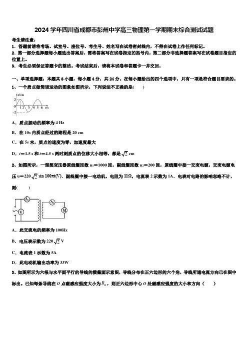 2024学年四川省成都市彭州中学高三物理第一学期期末综合测试试题含解析