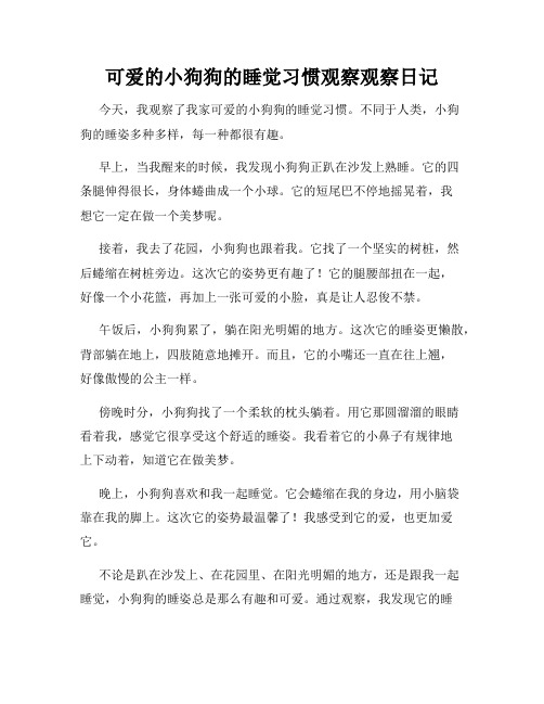  小学三年级作文可爱的小狗狗的睡觉习惯观察观察日记