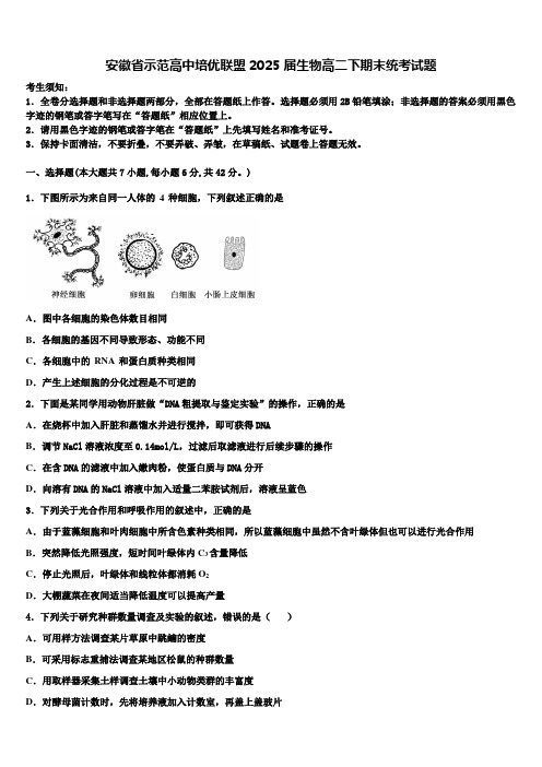 安徽省示范高中培优联盟2025届生物高二下期末统考试题含解析