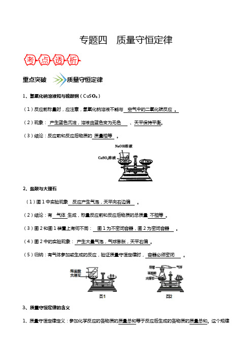 专题四  质量守恒定律中考化学一轮复习之核心考点透析(解析版)