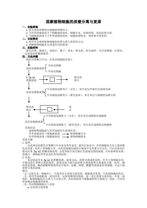 观察植物细胞的质壁分离与复原