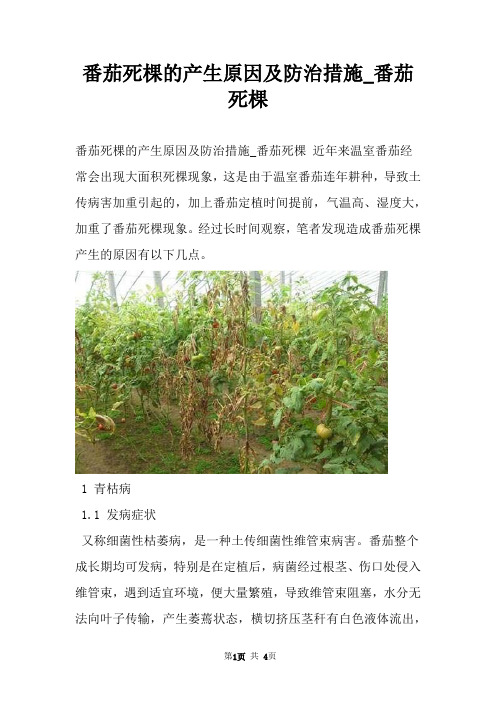 番茄死棵的产生原因及防治措施_番茄死棵