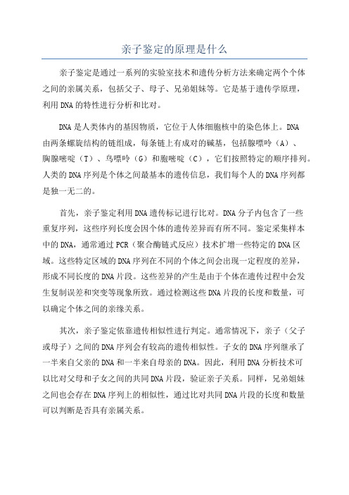 亲子鉴定的原理是什么