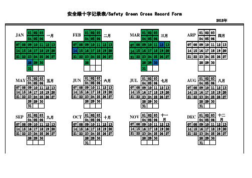 安全绿十字12个月