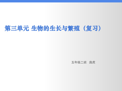 青岛版五年级下册科学第三单元复习PPT