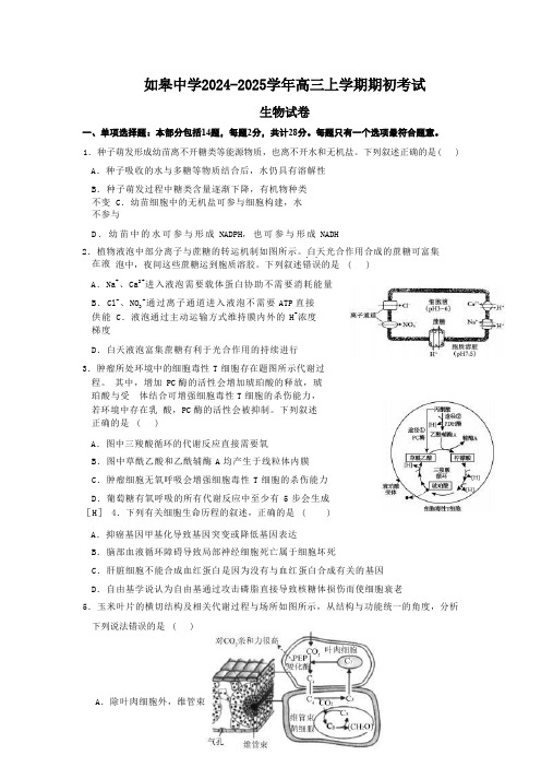 南通市如皋中学2024-2025学年高三上学期期初考试生物试题(含答案)