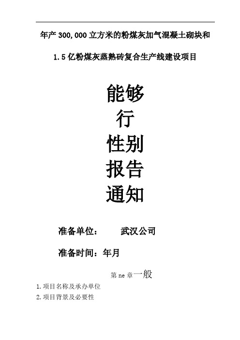 1.5亿粉煤灰蒸养砖生产线建设可行性报告