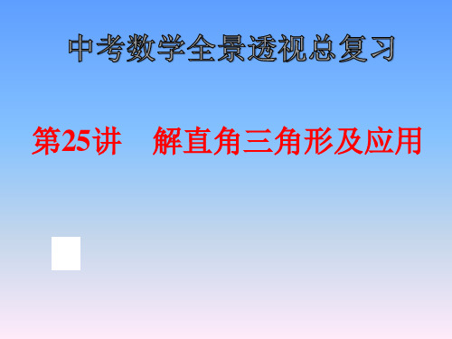 中考数学全景透视复习解直角三角形及应用