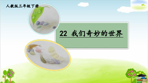 最新部编人教版小学三年级下册语文《我们奇妙的世界》精品课件