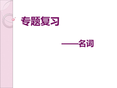 2023年中考英语(人教新目标) 专题复习—名词  复习课件