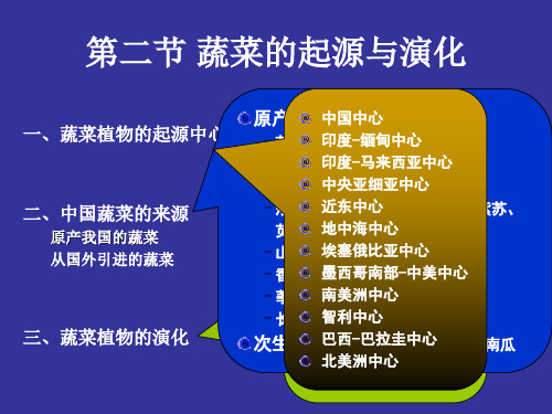 20100921第一章蔬菜栽培的生物学基础2(精)