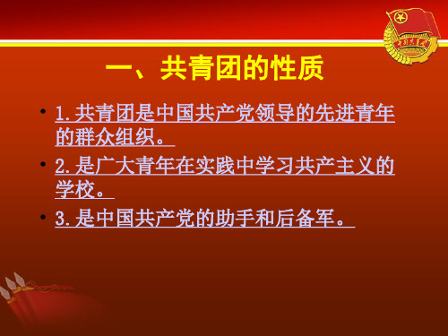 共青团的性质、任务及奋斗目标