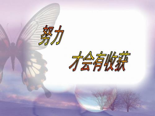 努力才会有收获教学课件[1]