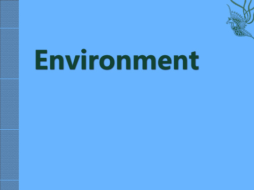 environment 环境 主题英文 PPT