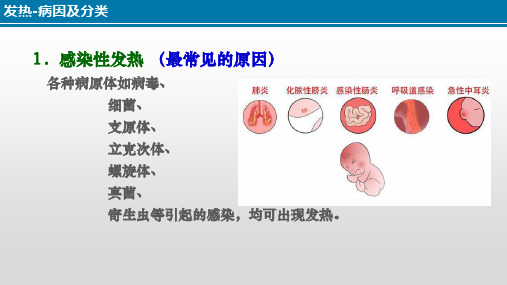 诊断学基础 常见症状 发热病因、发病机制(临床诊疗课件)