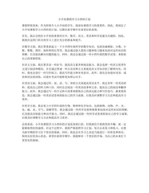 小升初暑假学习小四科计划