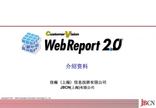 WebReport(Chinese)