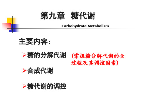 三羧酸循环--me55页PPT