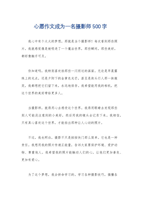 心愿作文成为一名摄影师500字