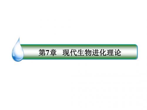 人教版生物必修2同步教学课件：7-2-2隔离与物种的形成 共同进化与生物多样性的形成