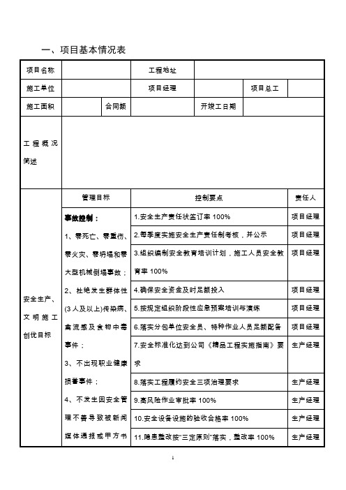 项目安全管理策划书