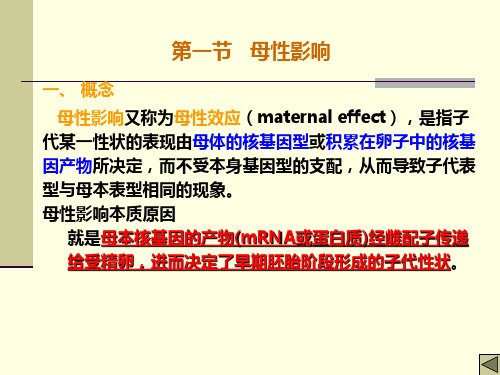 第10章核外遗传