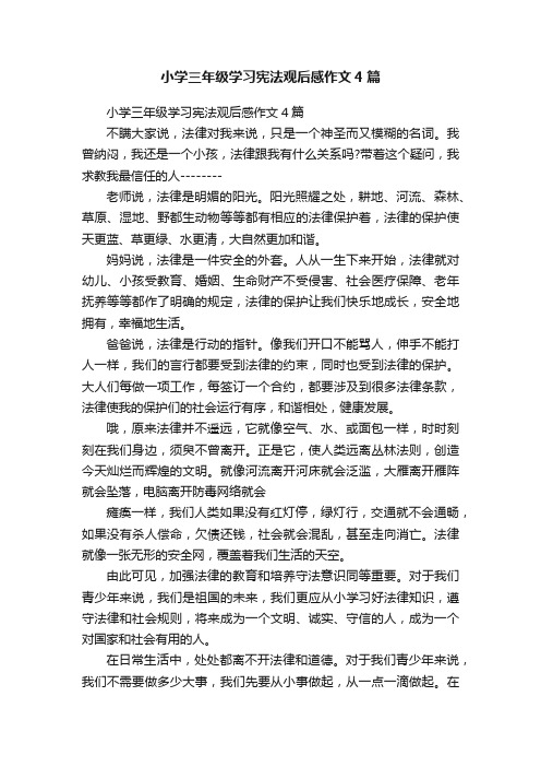 小学三年级学习宪法观后感作文4篇