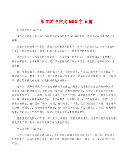 乐在其中作文600字5篇