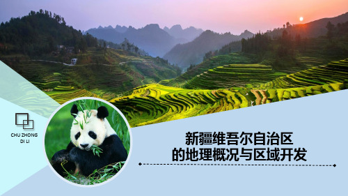 《新疆维吾尔自治区的地理概况与区域开发》综合版
