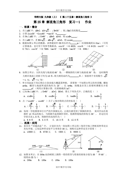 华师大版-数学-九年级上册-第二十五章 解直角三角形 复习-1 同步作业  